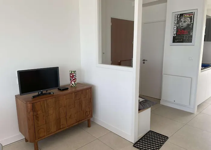 Appartement Superbe à 10m De La Plage, 2 Terrasses, 3 Chambres, Vue Océan - Fr-1-494-163